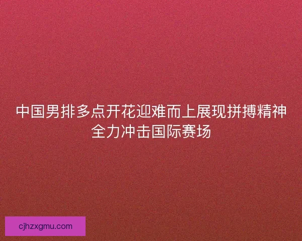中国男排多点开花迎难而上展现拼搏精神全力冲击国际赛场