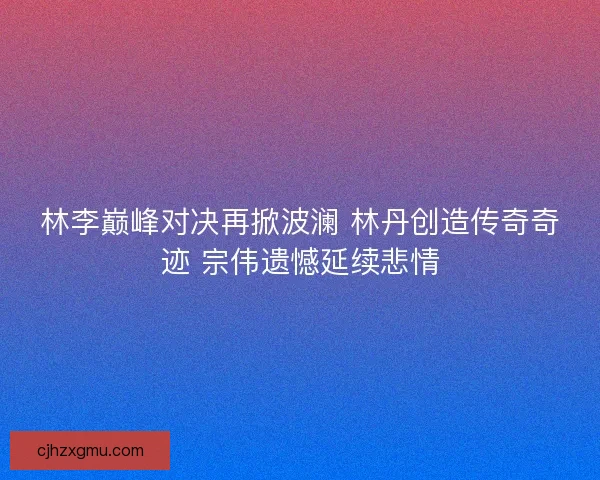 林李巅峰对决再掀波澜 林丹创造传奇奇迹 宗伟遗憾延续悲情