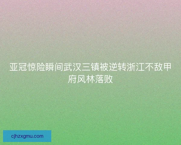 亚冠惊险瞬间武汉三镇被逆转浙江不敌甲府风林落败 亚冠惊险瞬间武汉三镇被逆转浙江不敌甲府风林落败