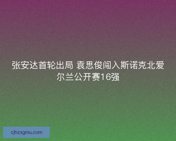 张安达首轮出局 袁思俊闯入斯诺克北爱尔兰公开赛16强