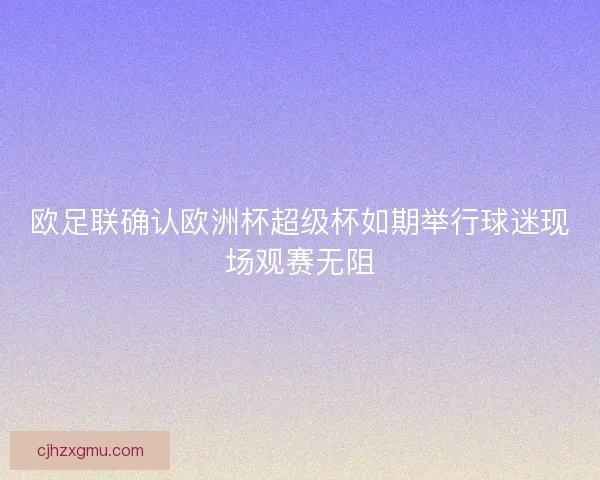 欧足联确认欧洲杯超级杯如期举行球迷现场观赛无阻