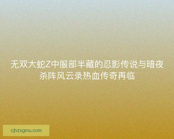 无双大蛇Z中服部半藏的忍影传说与暗夜杀阵风云录热血传奇再临